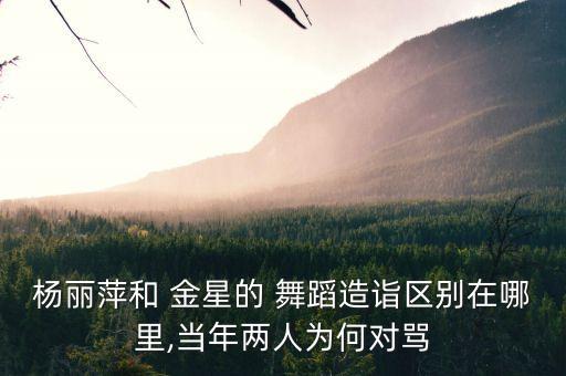 杨丽萍和 金星的 舞蹈造诣区别在哪里,当年两人为何对骂