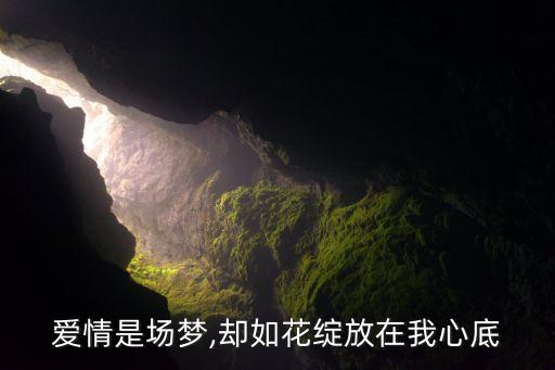 爱情是场梦,却如花绽放在我心底
