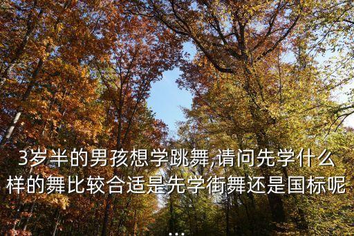 3岁半的男孩想学跳舞,请问先学什么样的舞比较合适是先学街舞还是国标呢...