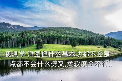我想学 舞蹈但什么基本功都不会是一点都不会什么劈叉,柔软度全不行...