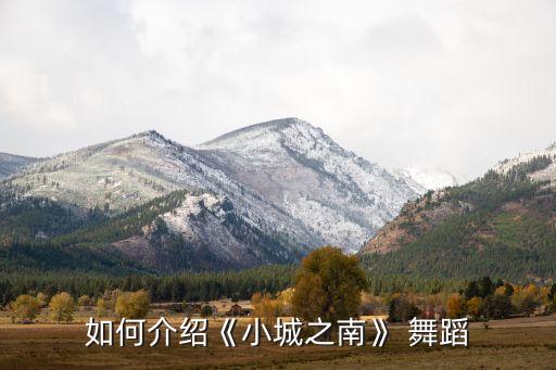 如何介绍《小城之南》 舞蹈