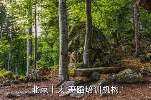 北京十大 舞蹈培训机构