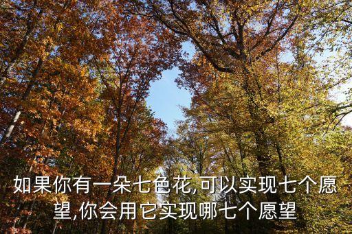 如果你有一朵七色花,可以实现七个愿望,你会用它实现哪七个愿望