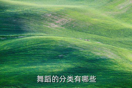 什么叫舞蹈种类