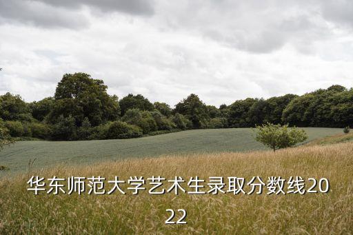  华东师范大学艺术生录取分数线2022