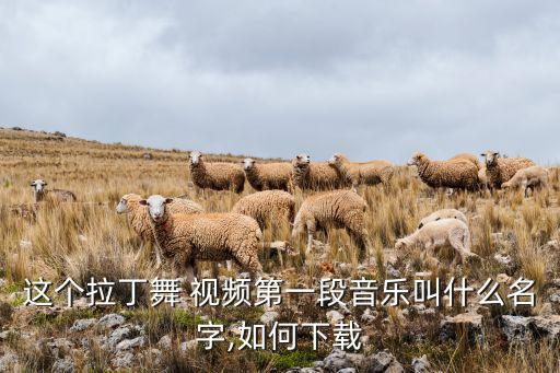 这个拉丁舞 视频第一段音乐叫什么名字,如何下载