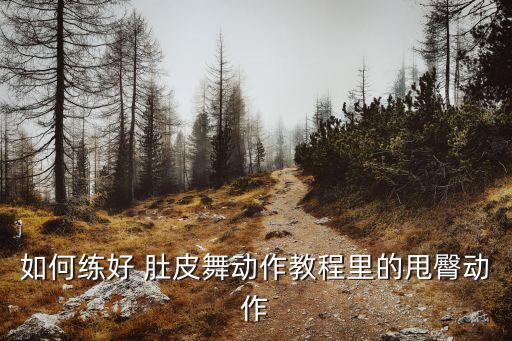 延安肚皮舞蹈培训,延安成人舞蹈培训哪里好