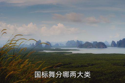 体育舞蹈标准舞比赛打分,2023舞新星体育舞蹈比赛