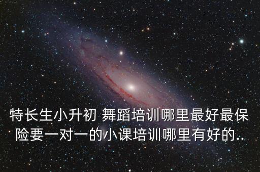 特长生小升初 舞蹈培训哪里最好最保险要一对一的小课培训哪里有好的...