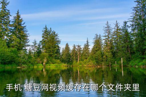 手机 糖豆网视频缓存在哪个文件夹里