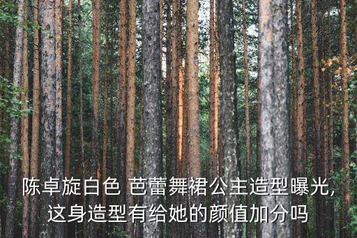 芭蕾舞蹈裙,男生穿芭蕾舞蹈裙