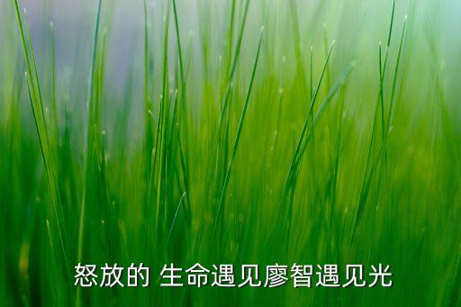 怒放生命舞蹈视频分解步骤