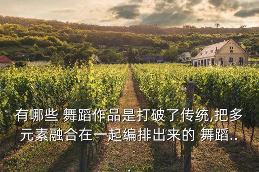 有哪些 舞蹈作品是打破了传统,把多元素融合在一起编排出来的 舞蹈...