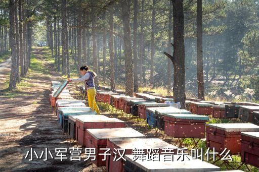 小小军营男子汉 舞蹈音乐叫什么