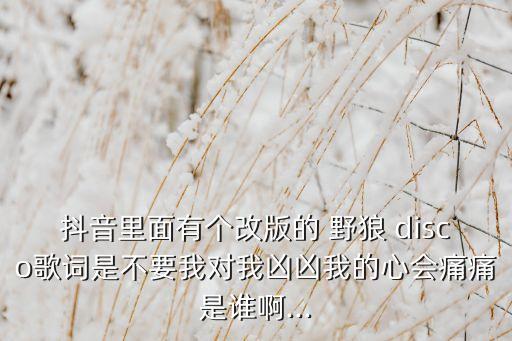 抖音里面有个改版的 野狼 disco歌词是不要我对我凶凶我的心会痛痛是谁啊...