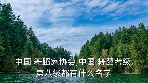 花球舞蹈女生七人,七级考级舞蹈花球舞