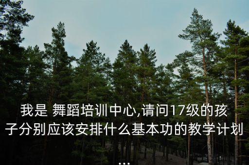 我是 舞蹈培训中心,请问17级的孩子分别应该安排什么基本功的教学计划...