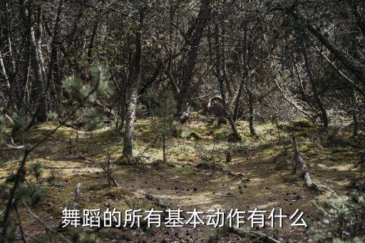 舞蹈基本功抓脚飞