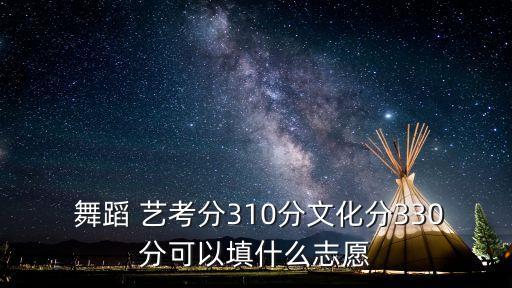  舞蹈 艺考分310分文化分330分可以填什么志愿
