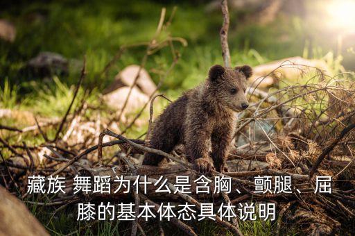 藏族学生都会舞蹈,藏族舞蹈课程思政对学生的影响