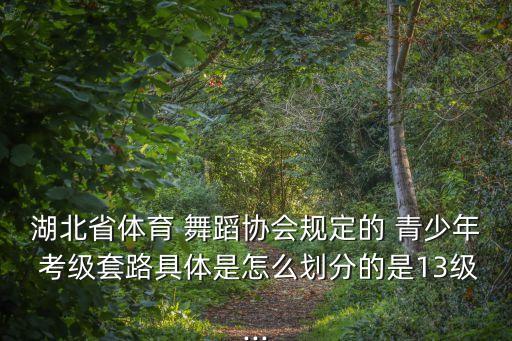 湖北省体育 舞蹈协会规定的 青少年 考级套路具体是怎么划分的是13级...