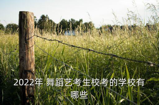 舞蹈学院重磅来袭