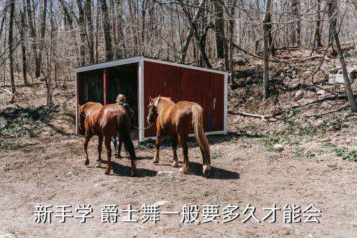 爵士舞考级舞蹈练习视频