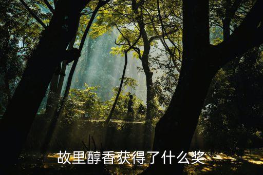 故里醇香获得了什么奖