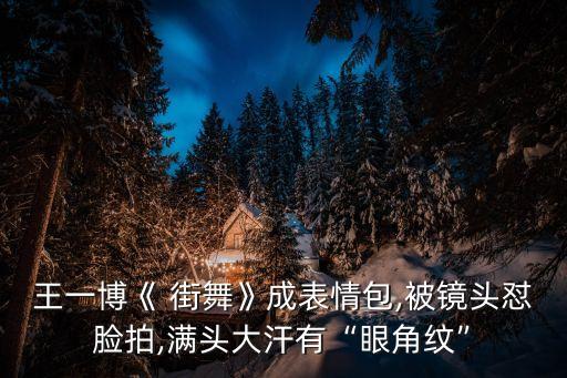 王一博《 街舞》成表情包,被镜头怼脸拍,满头大汗有“眼角纹”