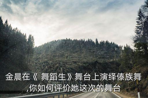 金晨在《 舞蹈生》舞台上演绎傣族舞,你如何评价她这次的舞台