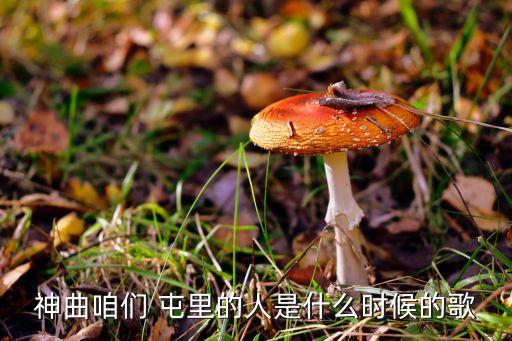 咱们屯里的人视频舞蹈,刘德华唱咱们屯里的人视频