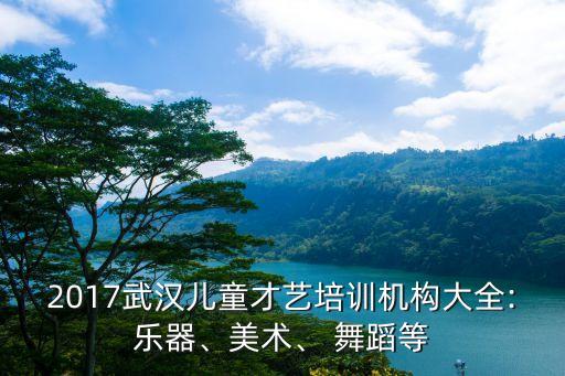 2017武汉儿童才艺培训机构大全:乐器、美术、 舞蹈等