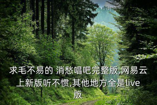 求毛不易的 消愁唱吧完整版,网易云上新版听不惯,其他地方全是live版