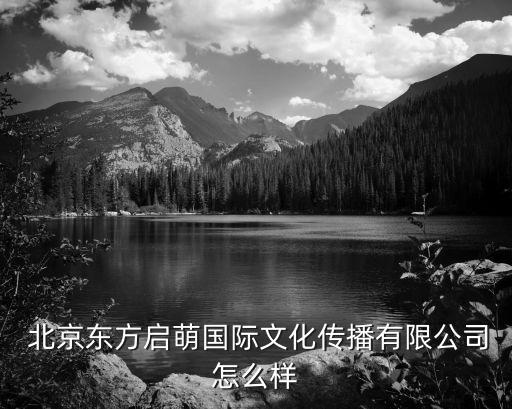  北京东方启萌国际文化传播有限公司怎么样