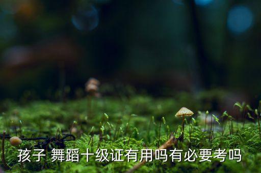 孩子 舞蹈十级证有用吗有必要考吗