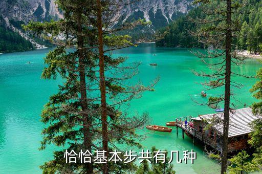 恰恰基本步共有几种