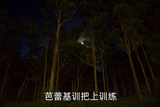 北京芭蕾舞蹈教材,zizi芭蕾舞蹈考级教材