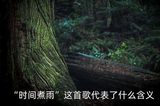 “时间煮雨”这首歌代表了什么含义