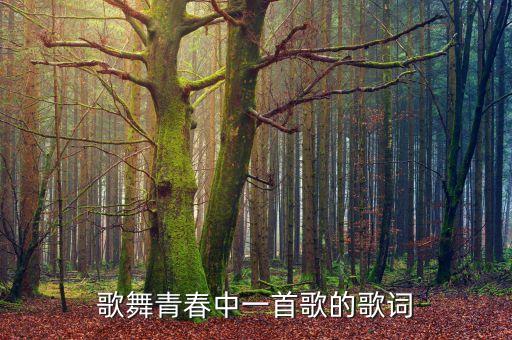 歌舞青春中一首歌的歌词