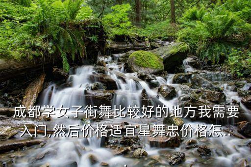  成都学女子街舞比较好的地方我需要入门,然后价格适宜星舞忠价格怎...