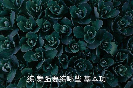 舞蹈学校基本功,舞蹈集训学校