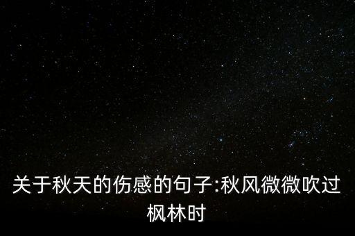 关于秋天的伤感的句子:秋风微微吹过枫林时