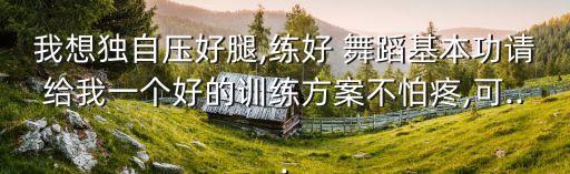 我想独自压好腿,练好 舞蹈基本功请给我一个好的训练方案不怕疼,可...