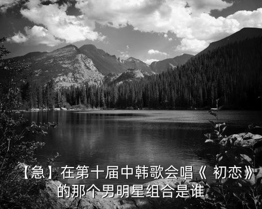 《初恋》舞蹈简单