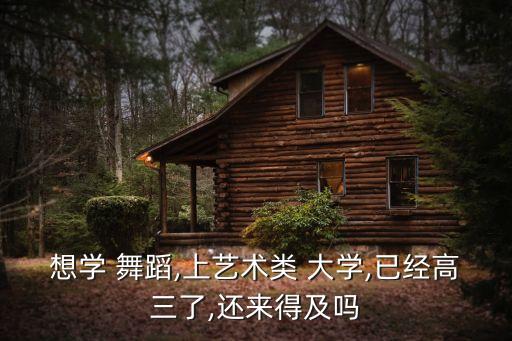 想学 舞蹈,上艺术类 大学,已经高三了,还来得及吗