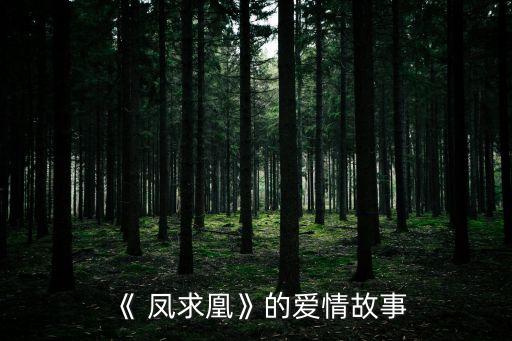 《 凤求凰》的爱情故事