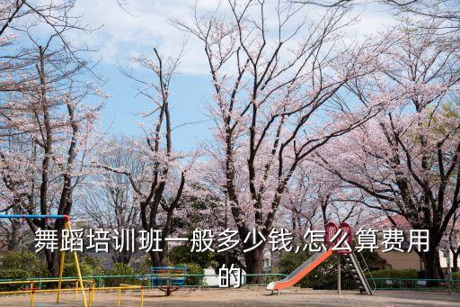  舞蹈培训班一般多少钱,怎么算费用的
