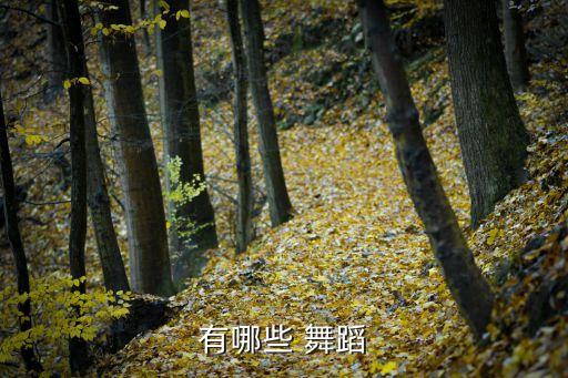 简单的民族风舞蹈视频,幼儿园民族风舞蹈视频大全