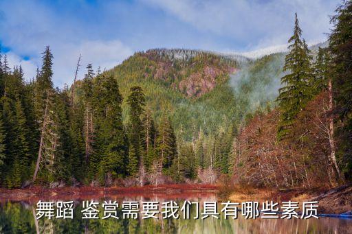 如何进行舞蹈鉴赏,如何看待舞蹈鉴赏
