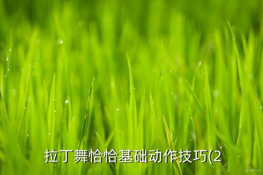 拉丁舞舞蹈动作大全,我的未来不是梦拉丁舞舞蹈动作